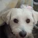 Jo Ann Padgett - Facebook