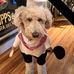 Joan Pair - Facebook