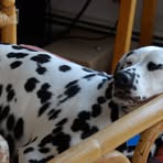 Joan Paley - Facebook