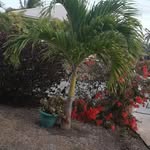 joan parris - @parris2824 - Instagram