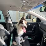 Joanne Peden - @joanne.peden.71 - Instagram