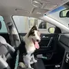 Joanne Peden - @joanne.peden - TikTok