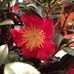 Joan Pemberton - Facebook