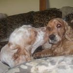 Joan Penny Smith - @joanpennysmith - Instagram