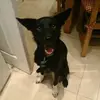 Joanne Penny - @joanne.penny - TikTok