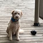 Joan Perdue - @joan.perdue8 - Instagram