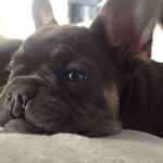 Joan Pickering - @joan.pickering.336 - Instagram