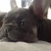 Joan Pickering - @joanpickering0 - TikTok