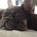 Joan Pickering - Facebook