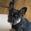 Joan Pickering - @joanpickering - TikTok