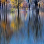 Joan Pickett - Facebook