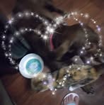 Joann Pickett - Facebook