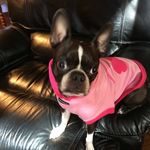 Joan Pierson - @joan.pierson - Instagram