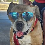 Joan Pierson Gingras - @jdtex20 - Instagram