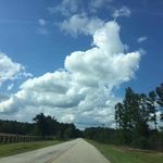 Susan MacLeod - @joan.piper171pz2 - Instagram