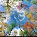 Jo Plumb - Facebook