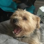 Joan Plumb - @joanplumb326 - Instagram