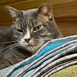 Jo Ann Prater-Wilson - @jo_ann_prater_wilson - Instagram