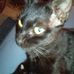 Joan Prater - Facebook