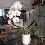 Joan Pratt - @joan.pratt.1650 - Instagram
