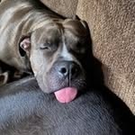 Joan Putnam - @kleinerjoan - Instagram