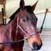 JoAnn Putnam - Facebook
