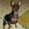 jojo - @joann.draby - TikTok