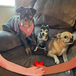 Cathlin Joan Raney - @cathlinthenotarypublic - Instagram