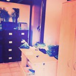 Joan Raney - @guyotoxyg - Instagram