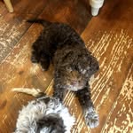 joan rawson - @rawson_joan - Instagram