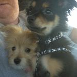 Joann Rawson - @joannrawson - Instagram
