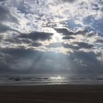 Joan Read Burkhart - @joanreadburkhart - Instagram