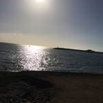 Joan Rigby - @craftygardener25 - Instagram