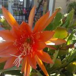 Joan Ringstad - @joanringstad - Instagram