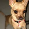 Joan Rios - @joanrios29 - TikTok