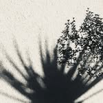 Joan Robey - @joanrobeyartist - Instagram
