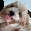 Joan Robey - @joan.robey0 - TikTok