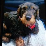 Joan Roche - @roche_joan - Instagram