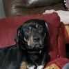 joanroche69 - @joanroche69 - TikTok