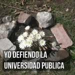 Joan Roman - @joan.roman.581 - Instagram