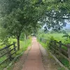 JoanRosa - @joanrosa63 - TikTok