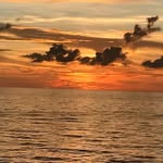 Joan Rossetti - @joan.r2349 - Instagram