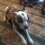 Joan Rossetti - @rossetti5325 - Instagram