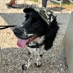 Obelix_Joan le Roux - @obelix_joan_le_roux - Instagram