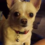 Joan Rushing - @joanrushing - Instagram