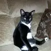 Joan Rushing - @joanrushing8 - TikTok