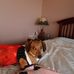 Joann Rushton - Facebook