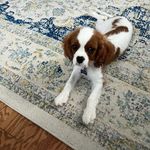 Joan Sample - @grra2 - Instagram