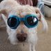 Joan Harps Saylor - Facebook