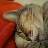 Joansaylor - @joanamarinheiro07 - TikTok